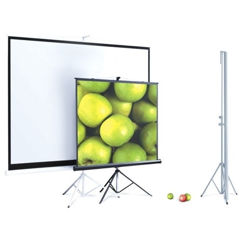 Экран для проектора ScreenMedia Apollo 203*153 MW 4:3 на штативе